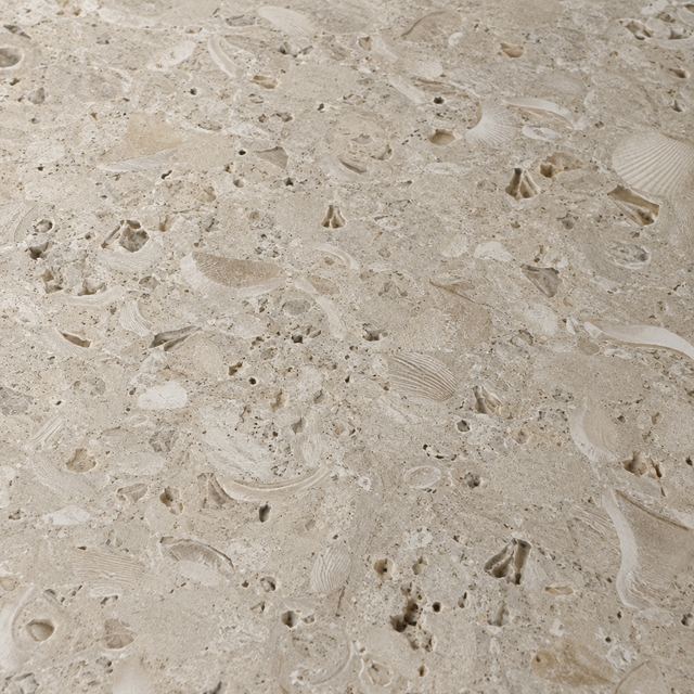 Honed shellstone close up