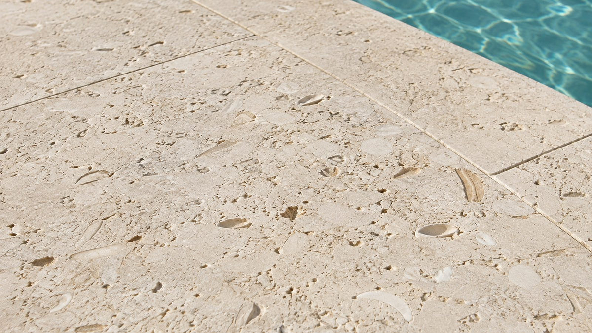 Shellstone pool surround showing fossil shell fragments