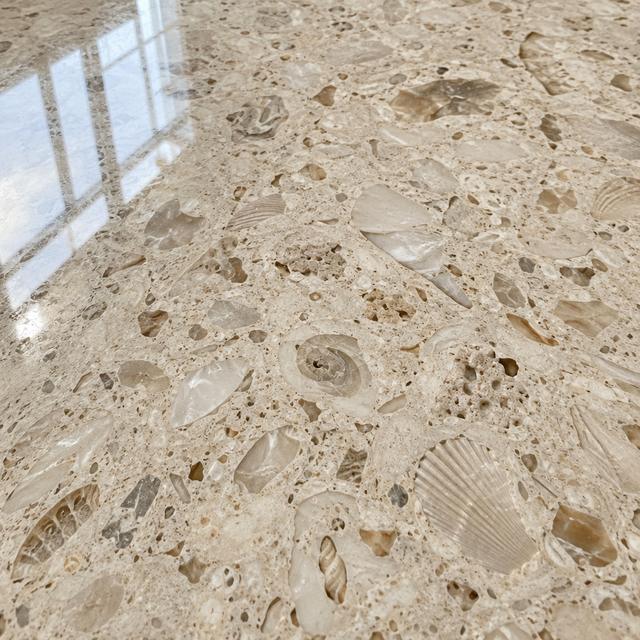 Polished shellstone close up