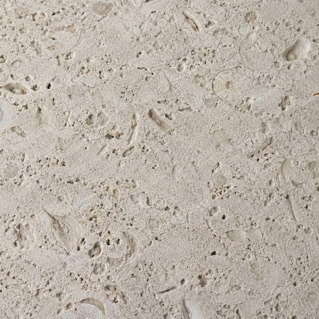 Sandblasted shellstone close up