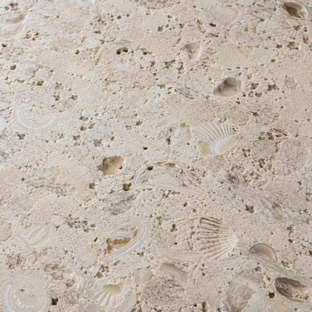 Textured shellstone close up
